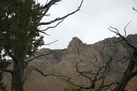 Guadalupe Mountains National Park Texas