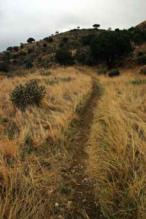 Devil's Hall Trail, Guadalupe Mountains National Park Texas